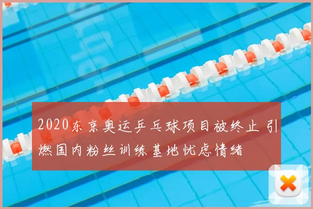 2020东京奥运乒乓球项目被终止 引燃国内粉丝训练基地忧虑情绪
