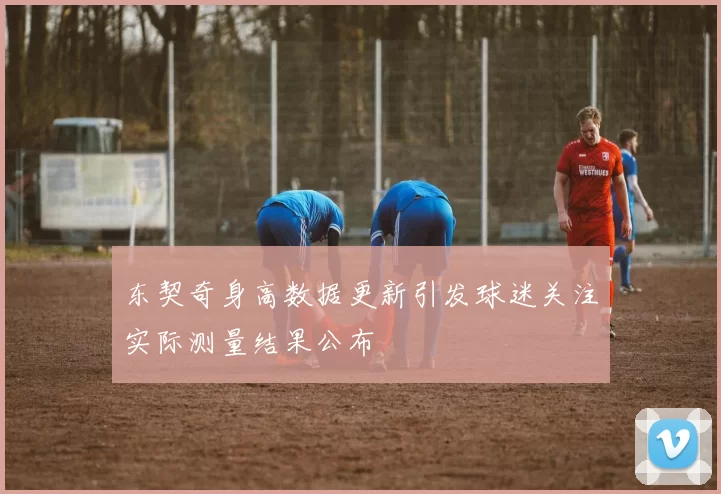 东契奇身高数据更新引发球迷关注实际测量结果公布