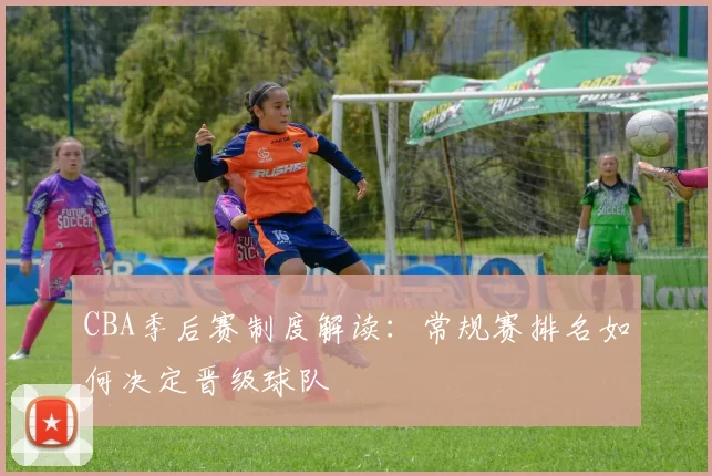 CBA季后赛制度解读：常规赛排名如何决定晋级球队