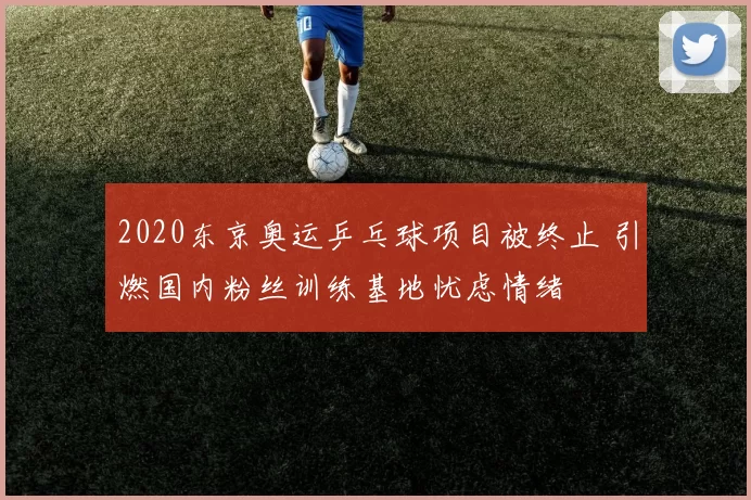 2020东京奥运乒乓球项目被终止 引燃国内粉丝训练基地忧虑情绪